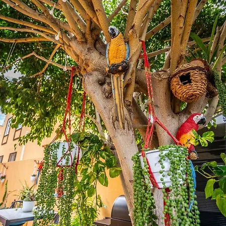 Ke Casetta Tenerife Salvador And Santiago Apartament Las Rosas (Arona, Tenerife)