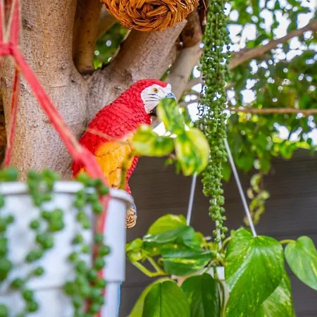 Ke Casetta Tenerife Salvador And Santiago *